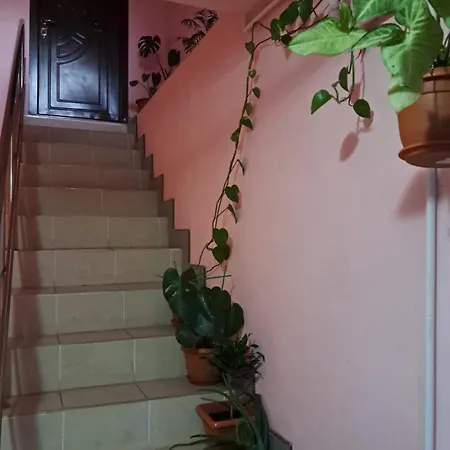 Penthouse 90mp 2 *