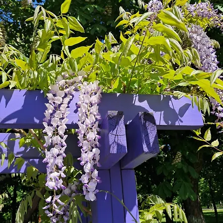 Appartement Penthouse 90mp 2 *