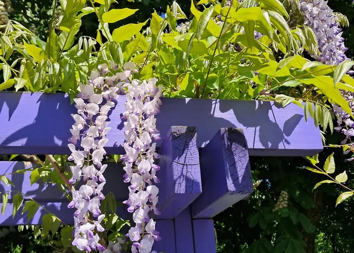 Lägenhet Penthouse 90mp 2 *