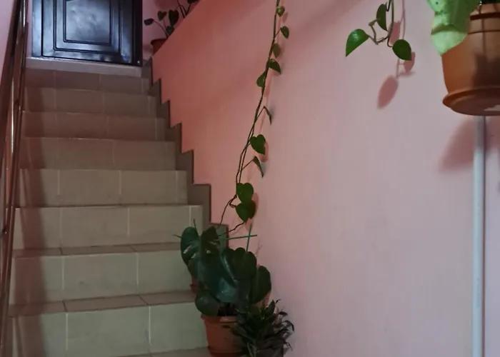 Penthouse 90mp 2 *