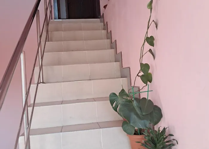 Apartament Penthouse 90mp 2 *